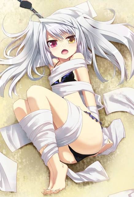 [131 Photos] About the secondary erotic image of IS (infinite Stratos). 5 11