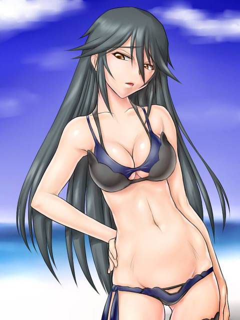 [131 Photos] About the secondary erotic image of IS (infinite Stratos). 5 111