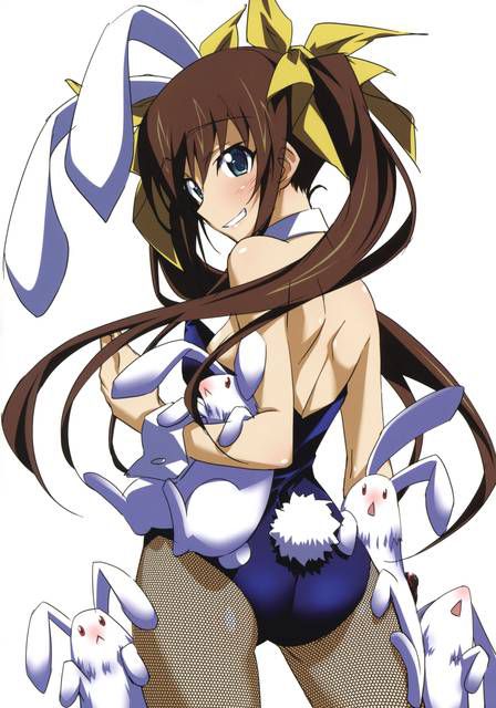 [131 Photos] About the secondary erotic image of IS (infinite Stratos). 5 112