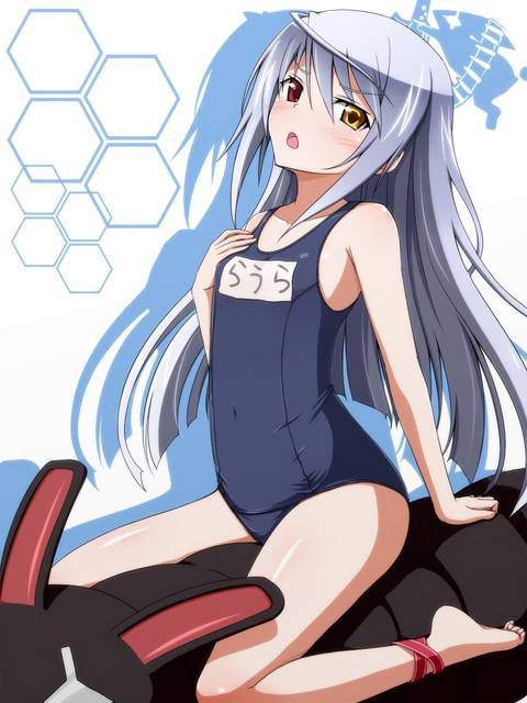 [131 Photos] About the secondary erotic image of IS (infinite Stratos). 5 114