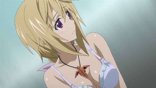 [131 Photos] About the secondary erotic image of IS (infinite Stratos). 5 124