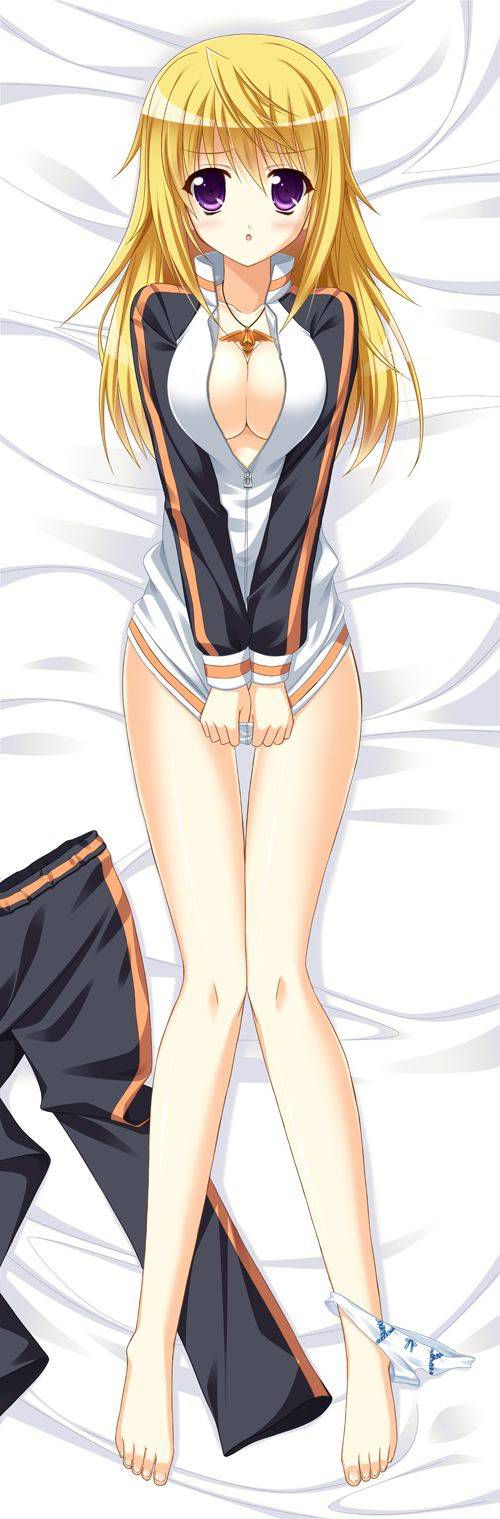 [131 Photos] About the secondary erotic image of IS (infinite Stratos). 5 130