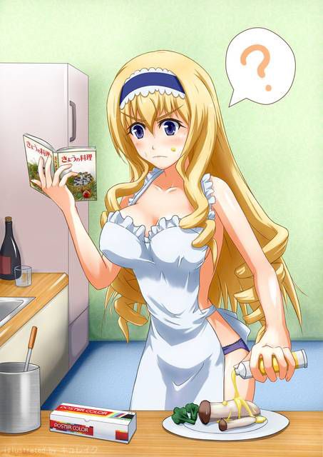 [131 Photos] About the secondary erotic image of IS (infinite Stratos). 5 26