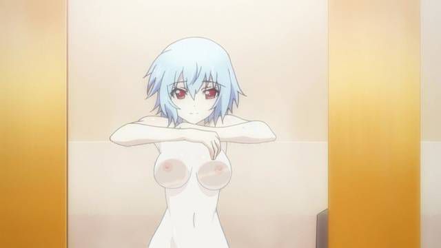 [131 Photos] About the secondary erotic image of IS (infinite Stratos). 5 27