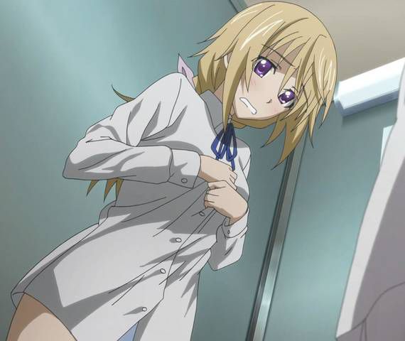 [131 Photos] About the secondary erotic image of IS (infinite Stratos). 5 34