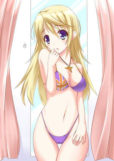 [131 Photos] About the secondary erotic image of IS (infinite Stratos). 5 39