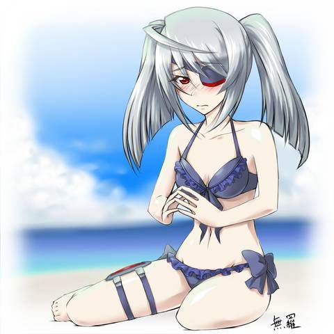 [131 Photos] About the secondary erotic image of IS (infinite Stratos). 5 40