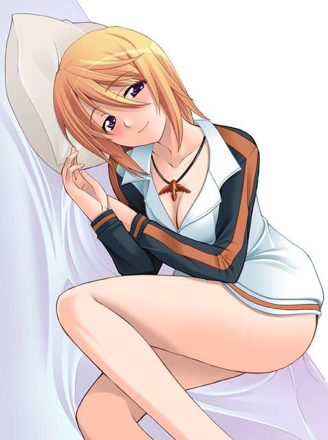 [131 Photos] About the secondary erotic image of IS (infinite Stratos). 5 43