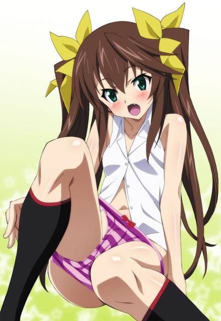 [131 Photos] About the secondary erotic image of IS (infinite Stratos). 5 46