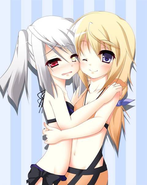 [131 Photos] About the secondary erotic image of IS (infinite Stratos). 5 49