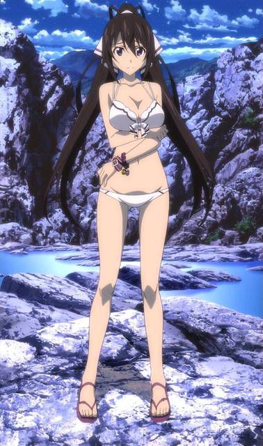 [131 Photos] About the secondary erotic image of IS (infinite Stratos). 5 51