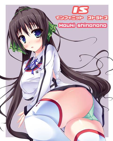 [131 Photos] About the secondary erotic image of IS (infinite Stratos). 5 57