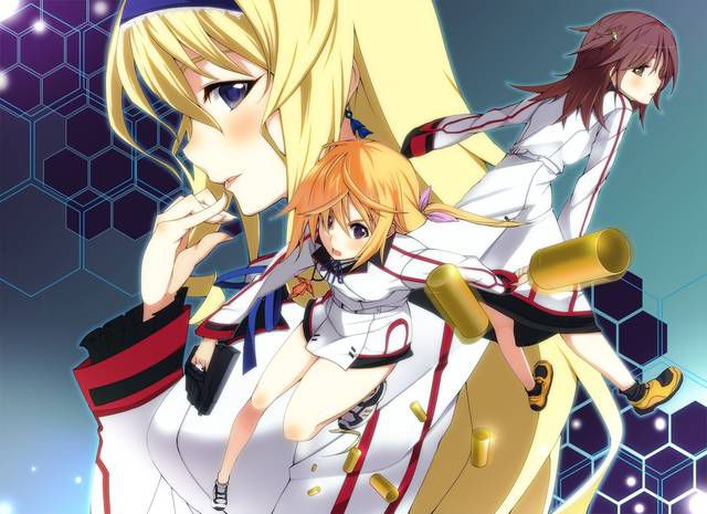 [131 Photos] About the secondary erotic image of IS (infinite Stratos). 5 61