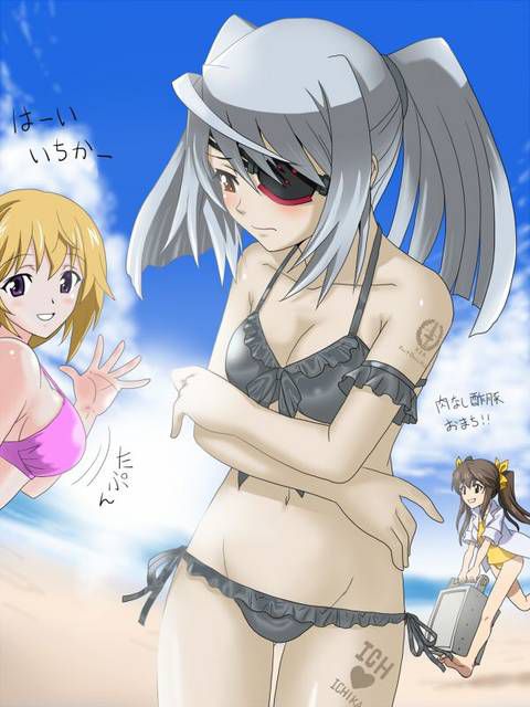 [131 Photos] About the secondary erotic image of IS (infinite Stratos). 5 67