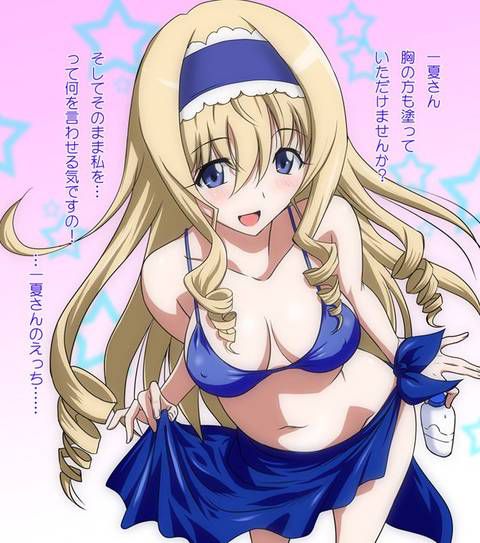 [131 Photos] About the secondary erotic image of IS (infinite Stratos). 5 68