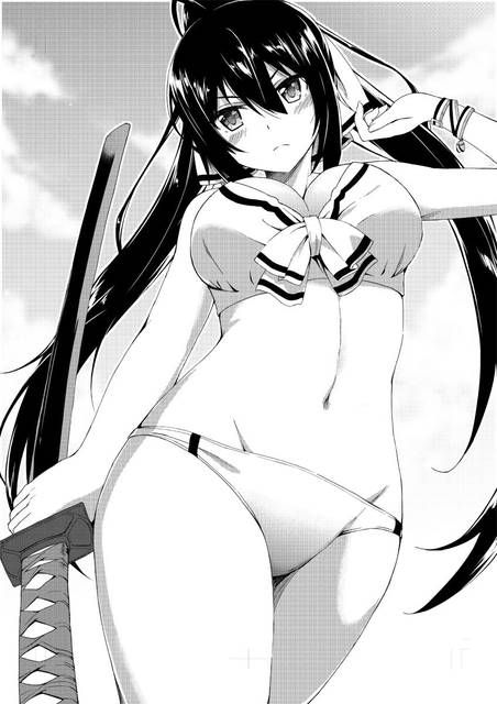 [131 Photos] About the secondary erotic image of IS (infinite Stratos). 5 75