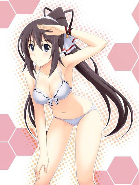 [131 Photos] About the secondary erotic image of IS (infinite Stratos). 5 88