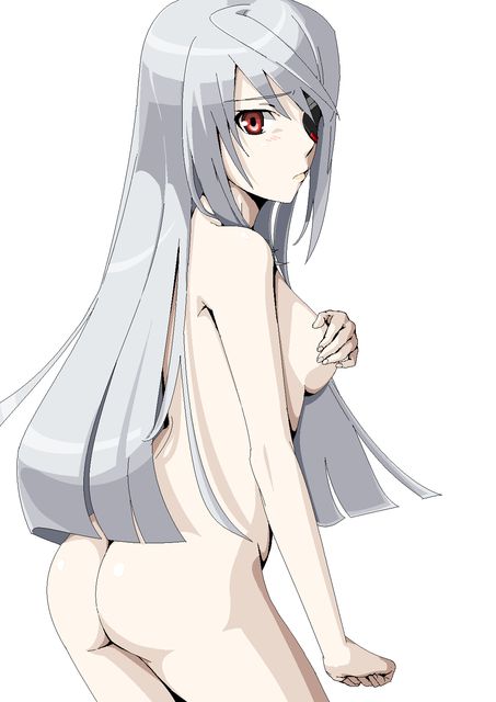 [131 Photos] About the secondary erotic image of IS (infinite Stratos). 5 93