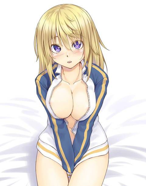 [131 Photos] About the secondary erotic image of IS (infinite Stratos). 5 97