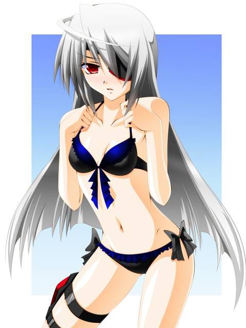 [131 Photos] About the secondary erotic image of IS (infinite Stratos). 5 98