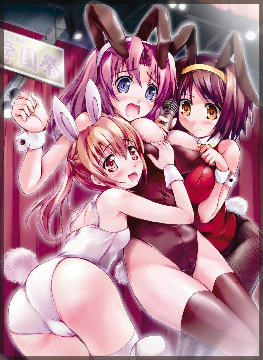 The bunny girl picture of whether you'll meet once in a lifetime real 16