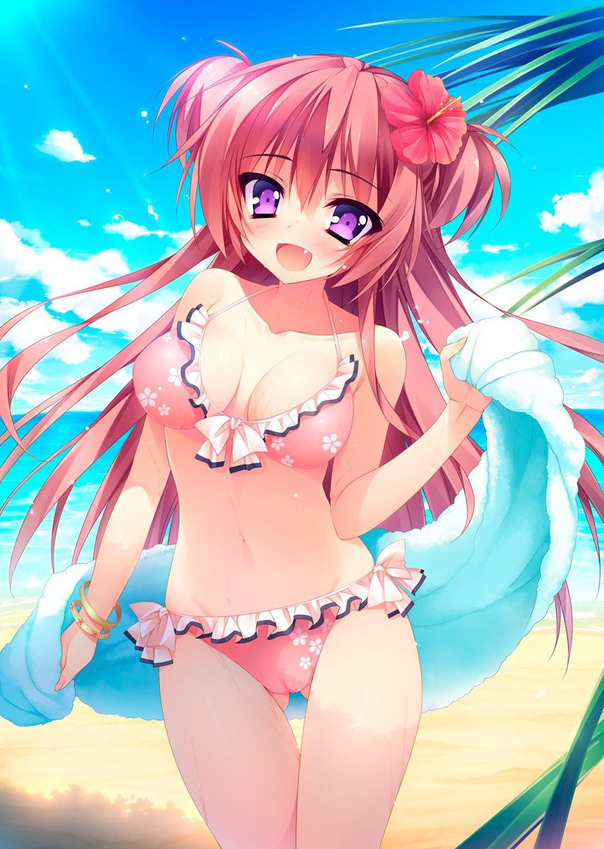 [Swimsuit] can't wait until summer vacation! I want to see a swimsuit and a bikini girl! Part 4 [2-d] 20