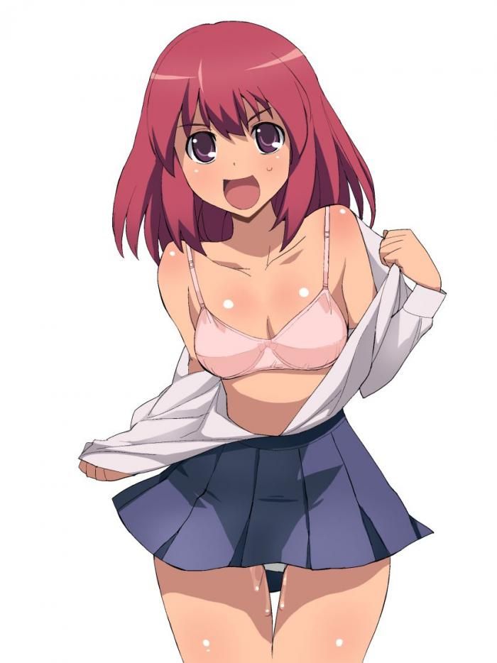 Toradora! About Erotic Images 6