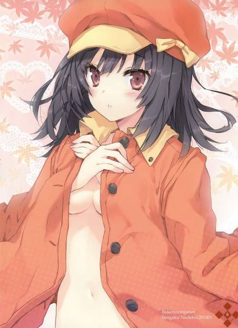 [Image 122 Photos] is the secondary erotic image of Bakemonogatari Sengoku Nadeko. 1 [Story Series] 2