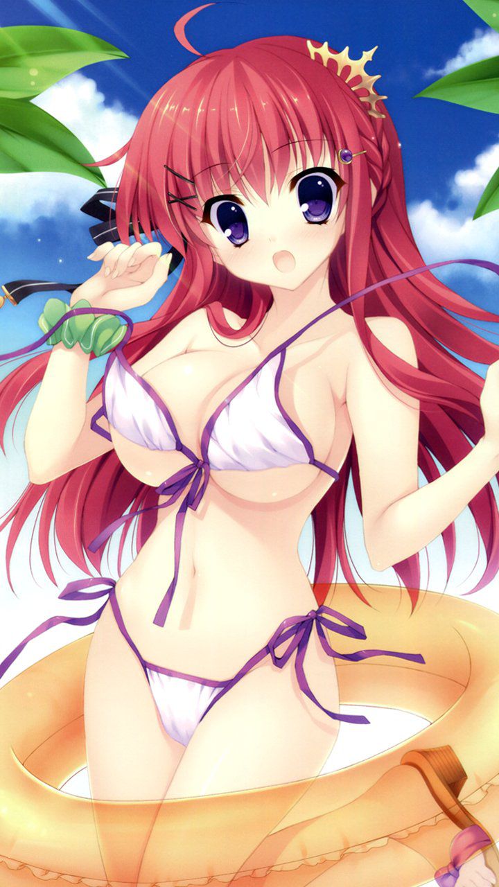 [Secondary, swimsuit] I do not accumulate naked skin! Pretty picture of a bikini equipment part1 15