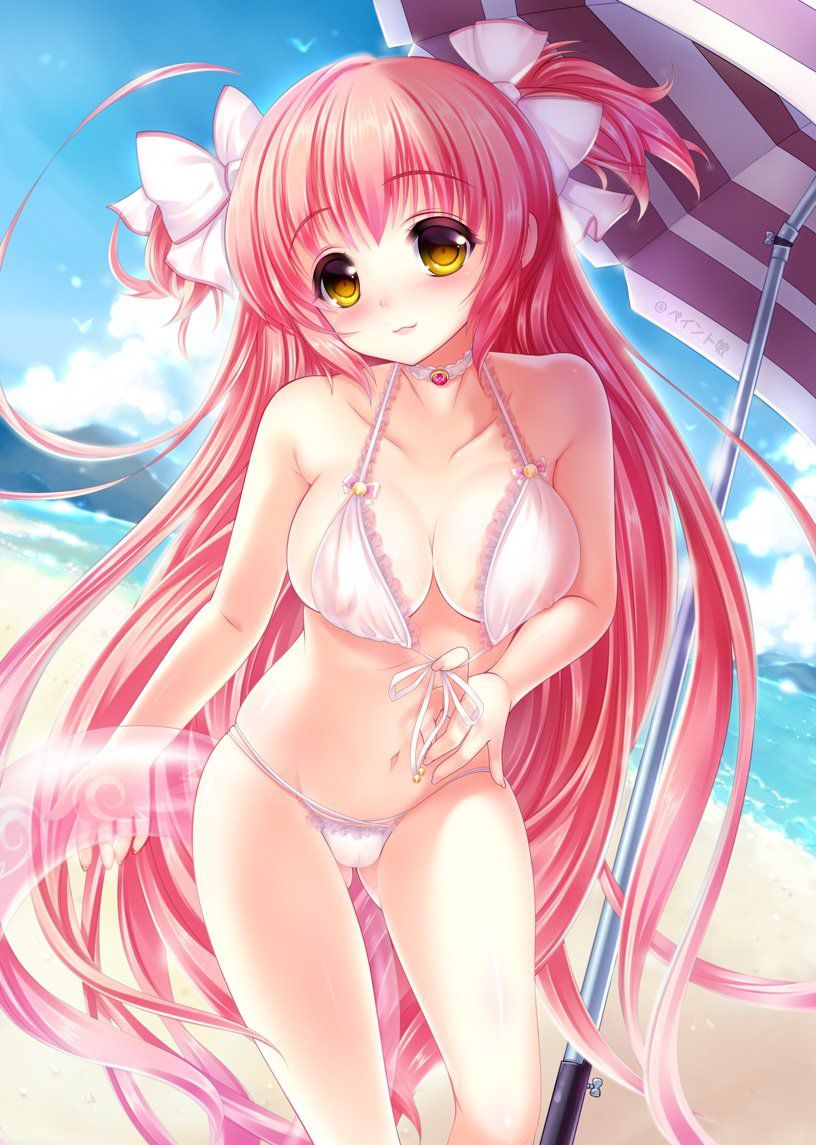 [Secondary, swimsuit] I do not accumulate naked skin! Pretty picture of a bikini equipment part1 18