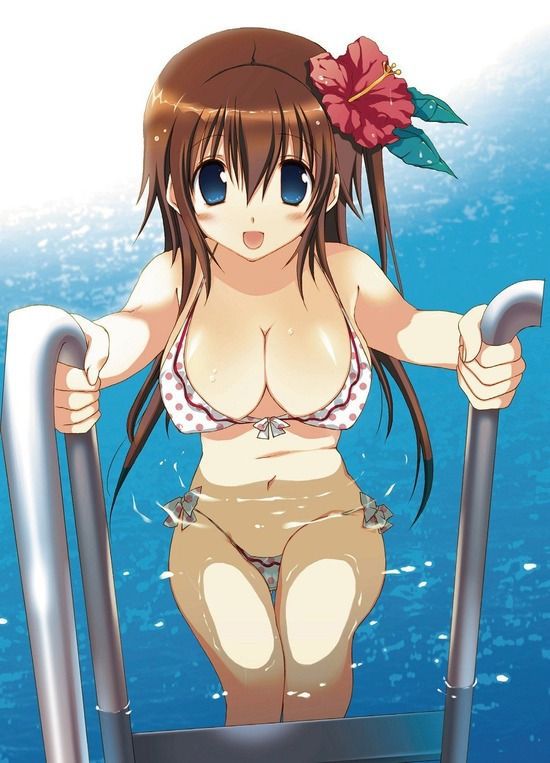 [Secondary, swimsuit] I do not accumulate naked skin! Pretty picture of a bikini equipment part1 22