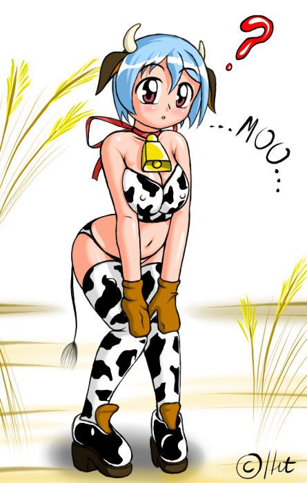 human cow 24