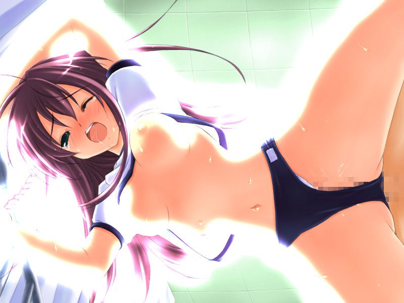 Two-dimensional bloomers picture assortment of Whip whip. Vol. 4 31