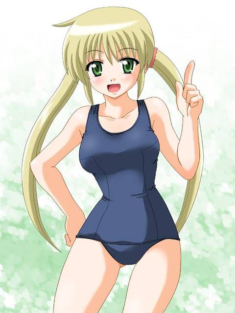 [54 pieces] Cute Erofeci image collection of two-dimensional school swimsuit. 42 14