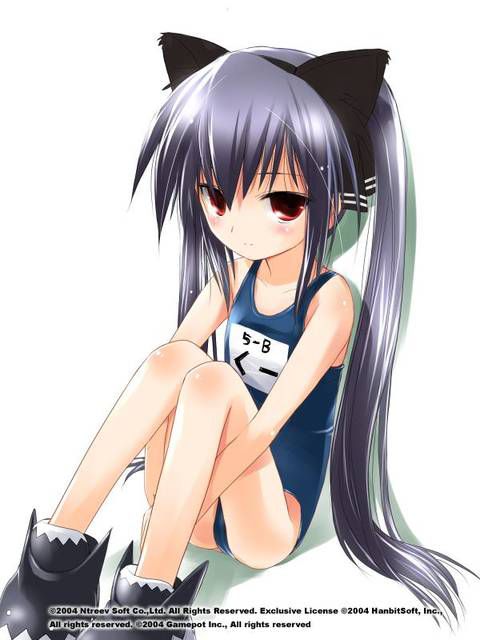 [54 pieces] Cute Erofeci image collection of two-dimensional school swimsuit. 42 17