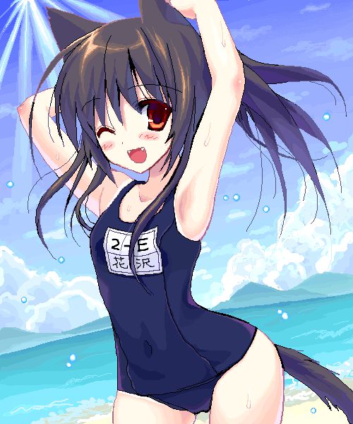 [54 pieces] Cute Erofeci image collection of two-dimensional school swimsuit. 42 5