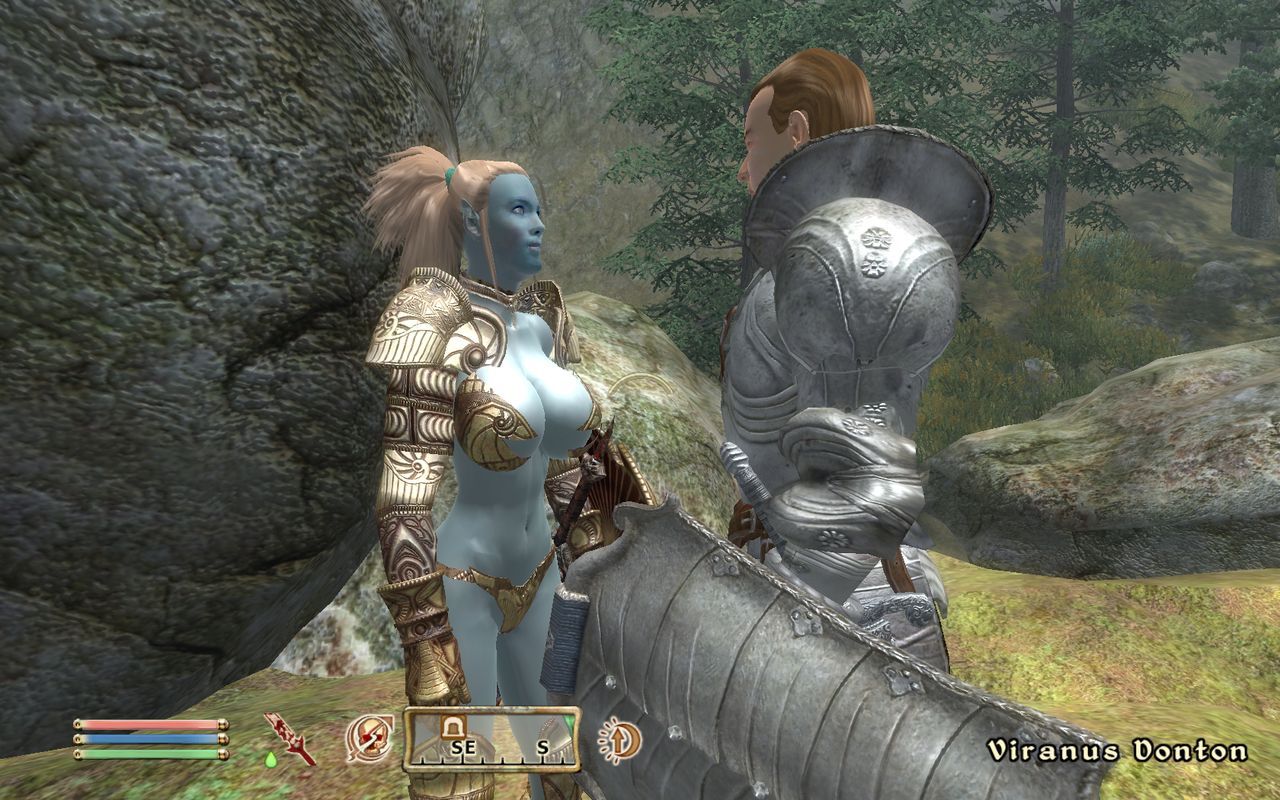 Oblivion: Blue Eyed Darkelf Chronicles 4 46