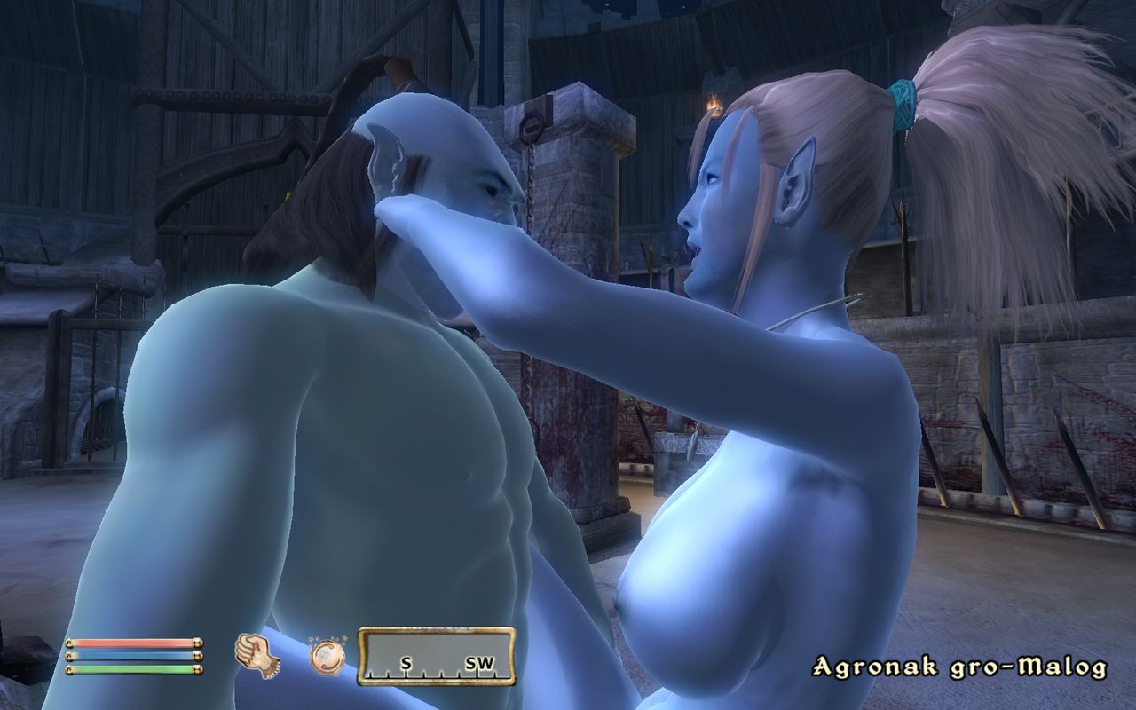 Oblivion: Blue Eyed Darkelf Chronicles 4 7