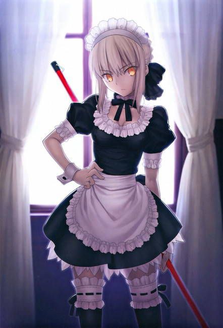 [Two-dimensional 50 sheets] cute maid's erotic image part47 [maid clothes] 30