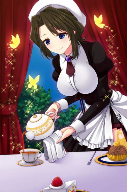 [Two-dimensional 50 sheets] cute maid's erotic image part47 [maid clothes] 40