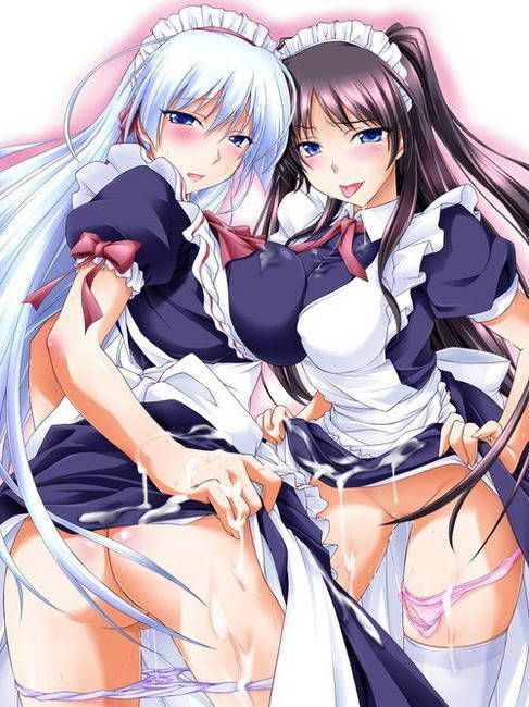 [Two-dimensional 50 sheets] cute maid's erotic image part47 [maid clothes] 46