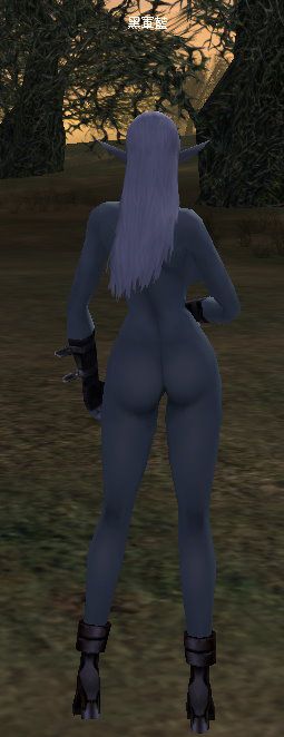 Lineage II nude path 6