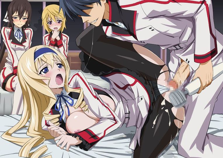 Two-dimensional photo gallery of Infinite Stratos 3