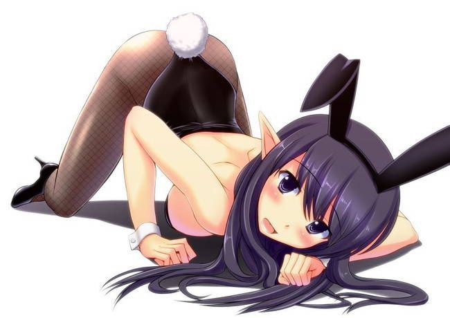 [Two-dimensional 50 pieces] second erotic image of a girl of bunny girl figure! Part28 1