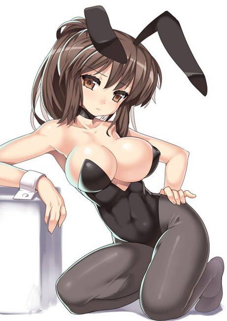 [Two-dimensional 50 pieces] second erotic image of a girl of bunny girl figure! Part28 10