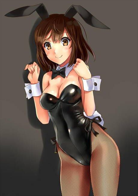 [Two-dimensional 50 pieces] second erotic image of a girl of bunny girl figure! Part28 18