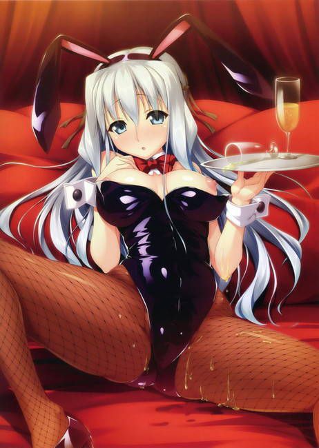 [Two-dimensional 50 pieces] second erotic image of a girl of bunny girl figure! Part28 19
