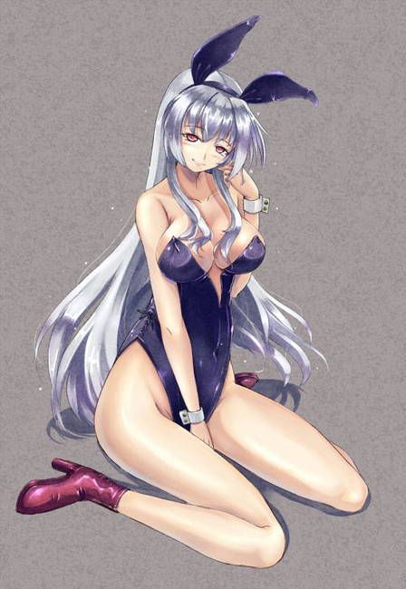 [Two-dimensional 50 pieces] second erotic image of a girl of bunny girl figure! Part28 23