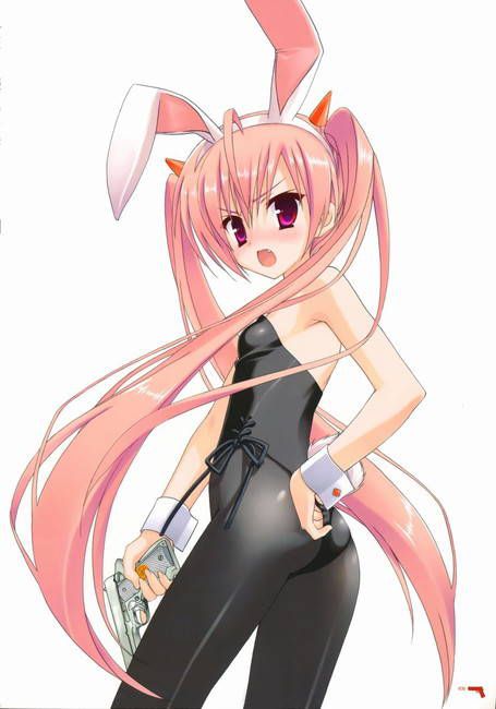 [Two-dimensional 50 pieces] second erotic image of a girl of bunny girl figure! Part28 27