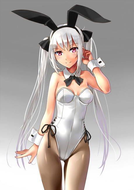 [Two-dimensional 50 pieces] second erotic image of a girl of bunny girl figure! Part28 46